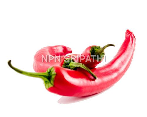 लाल मिर्च