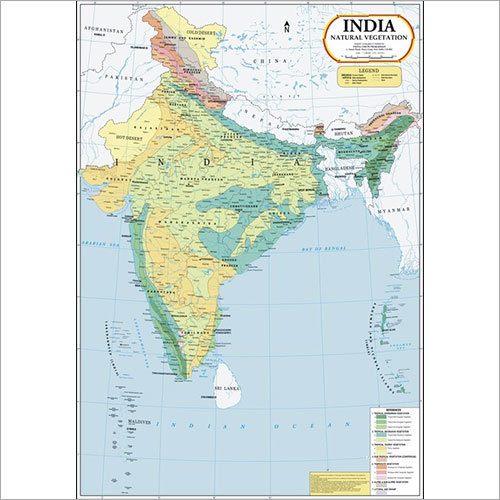 भारत प्राकृतिक वनस्पति मानचित्र आयाम: 70 X 100 सेंटीमीटर (Cm)