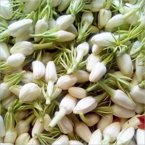 एरुवाची मल्लि फूल