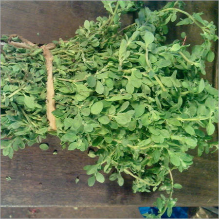 Dride फूल पौधे