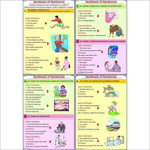 सिंथेसिस चार्ट आयाम: 70 X 100 सेंटीमीटर (Cm)