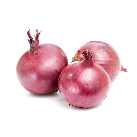 फाइटोसैनिटरी निर्यात प्रमाणन