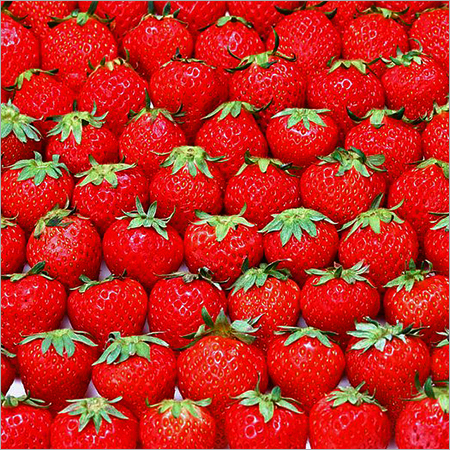 Fresh Strawberry Fruits
