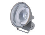 Projector lamp with low frequency induction lamp
