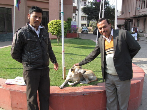 Office Security Service