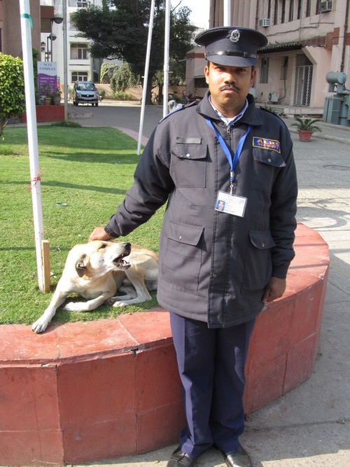 Building Security Guard Services