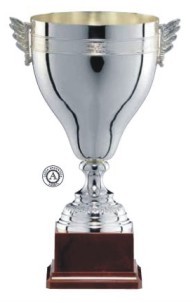 Designer Trophies