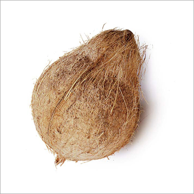 खोले गए नारियल