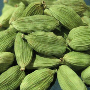 इलायची की फलियाँ