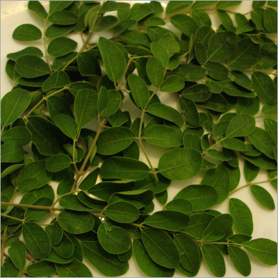 ताज़ी करी पत्ते