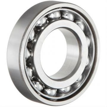 Stainless Steel Angular Contact Ball Bearing 7300