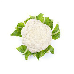 ताज़ा जैविक गोभी