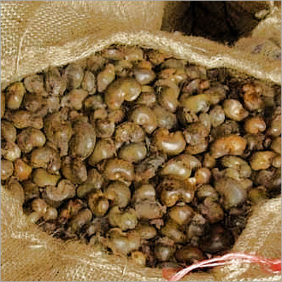 भुने हुए काजू नट्स