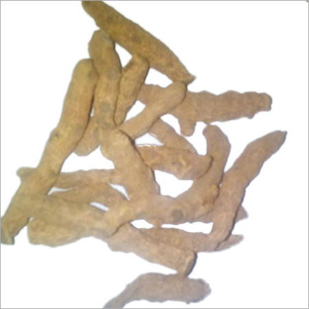 हल्दी की अंगुली