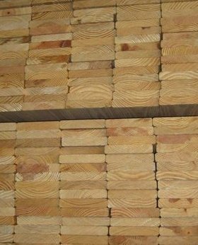 दक्षिणी लकड़ी की लकड़ी