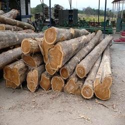 Sagwan Wood Logs