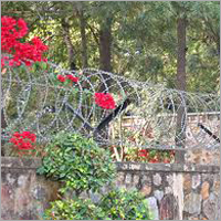 कॉन्सर्टिना कॉइल्स