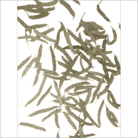 MARDASING स्क्रू प्लांट