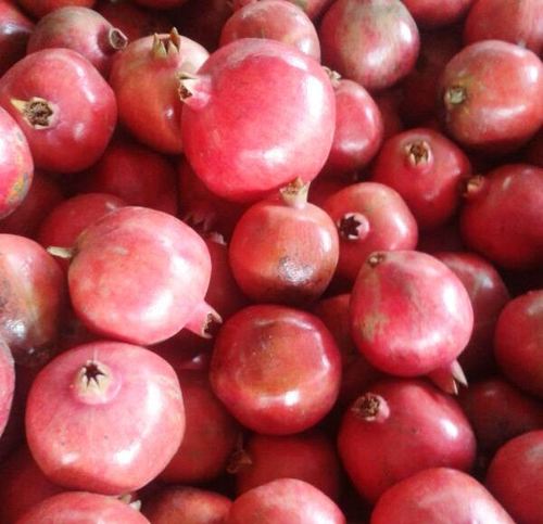Red Pomegranate