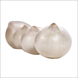 सफेद प्याज