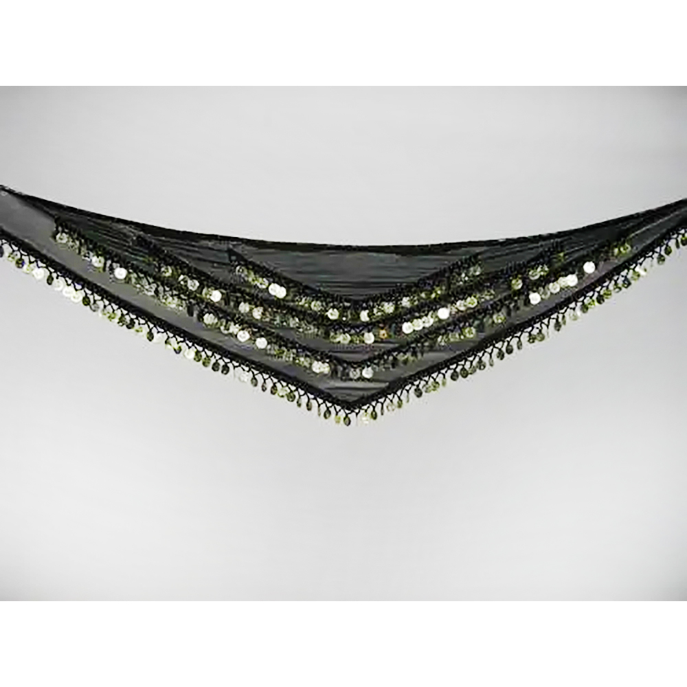 Spring Belly Dance Gypsy Belts