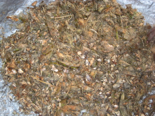 इलेक्ट्रिक कोकोनट लीव्स श्रेडर