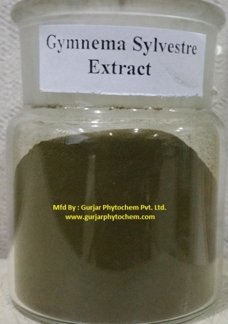 Gymnema Sylvestre Extract