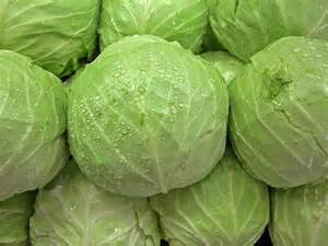 Fresh Green Cabbage
