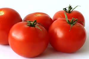 Fresh Red Tomatoes