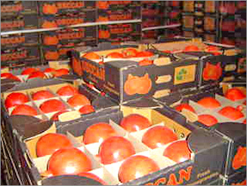 ताजा अनार