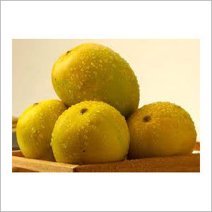 ताज़ा केसर आम