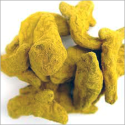 Turmeric Finger