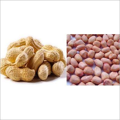 Peanut Kernel