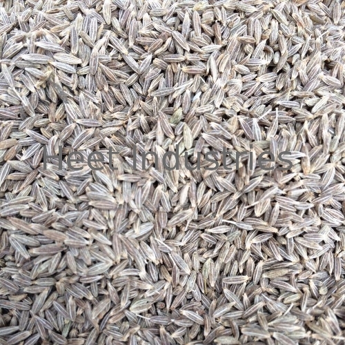 ताज़ा जीरा बीज निर्यात गुणवत्ता