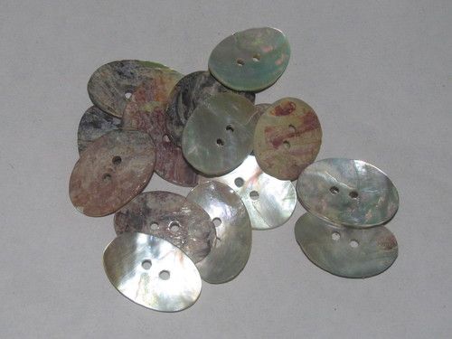 Oval Shell Buttons