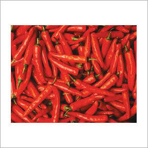 Red Chillies