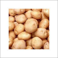 Fresh Potatoes