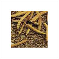 Guar Gum Seeds
