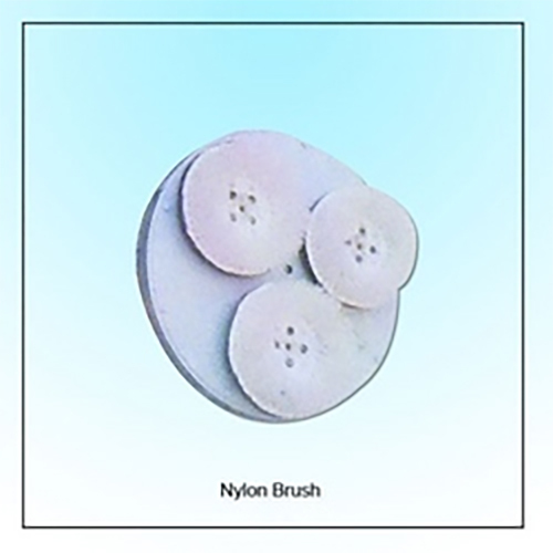 नायलॉन ब्रश