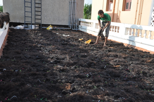 Raw Materials Drying