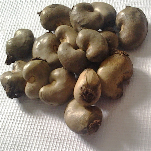 ताजा काजू