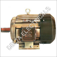 Standerd Industrial Electric Motors