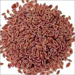 Psyllium Seed Husk