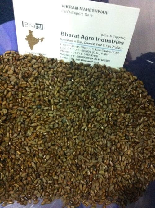 औषधि के लिए कैसिया तोरा बीज