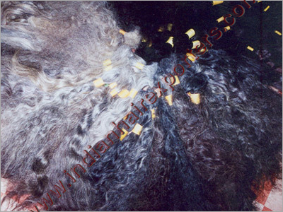Remy Human Hair Raw Hair