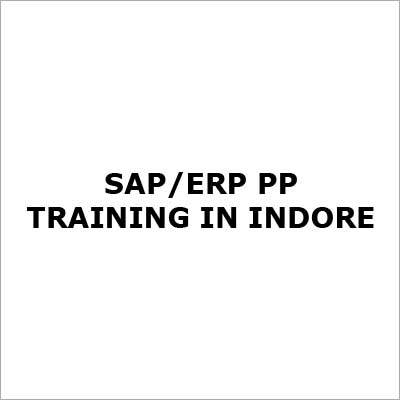 SAP-ERP PP Training Service