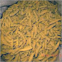 हल्दी की जड़
