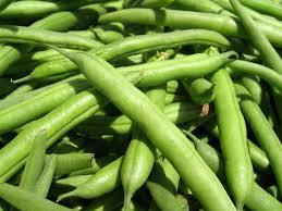 ताज़ी फलियाँ