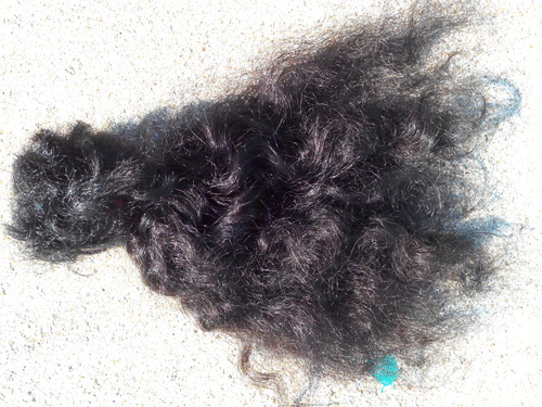 Black Curly Hair