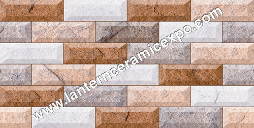 Ceramica Elevation Tiles